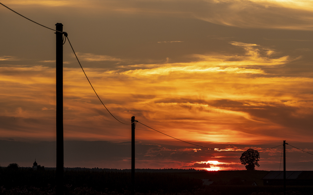 Platz 11 Daniela Korn